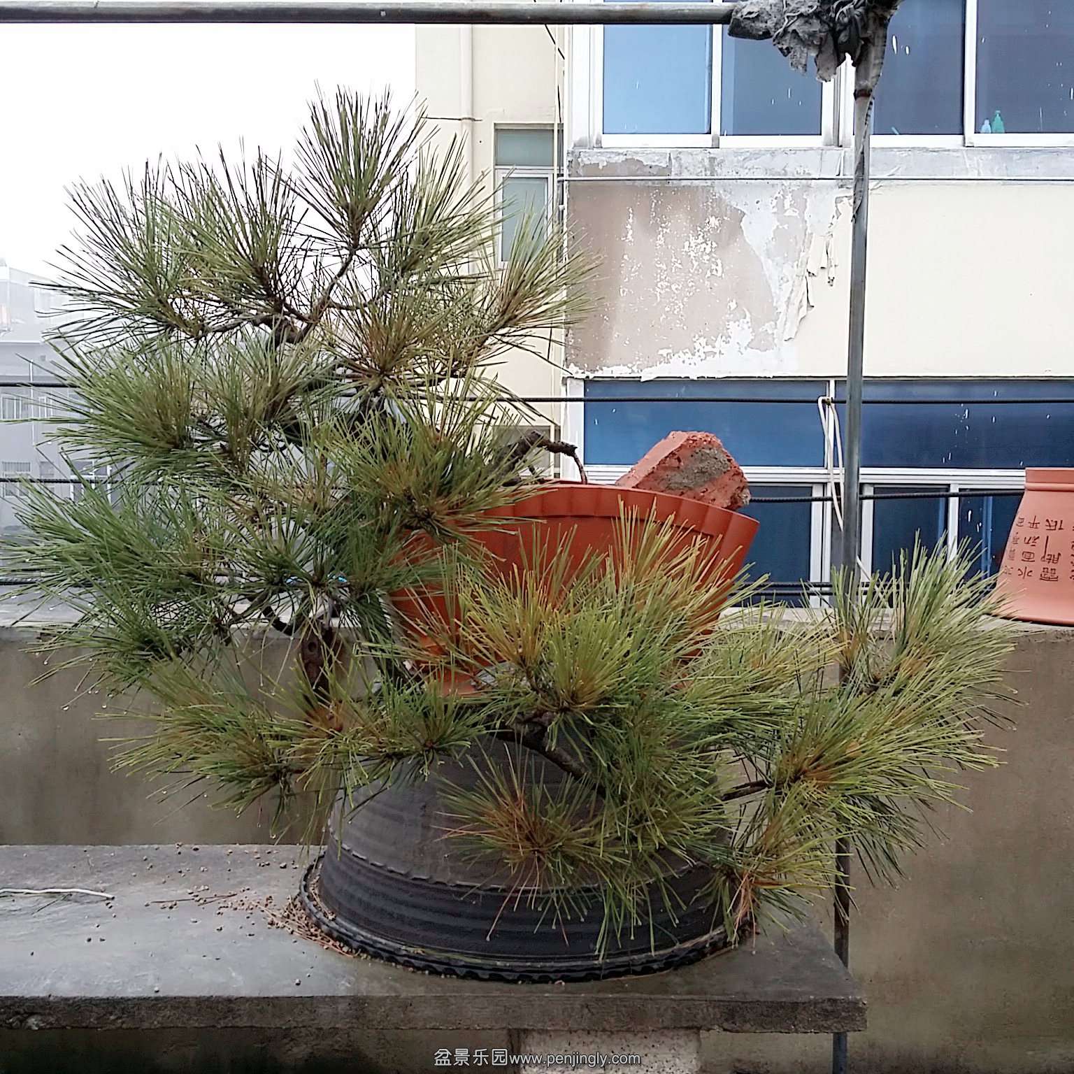C360_2015-12-23-10-05-04-441.jpg