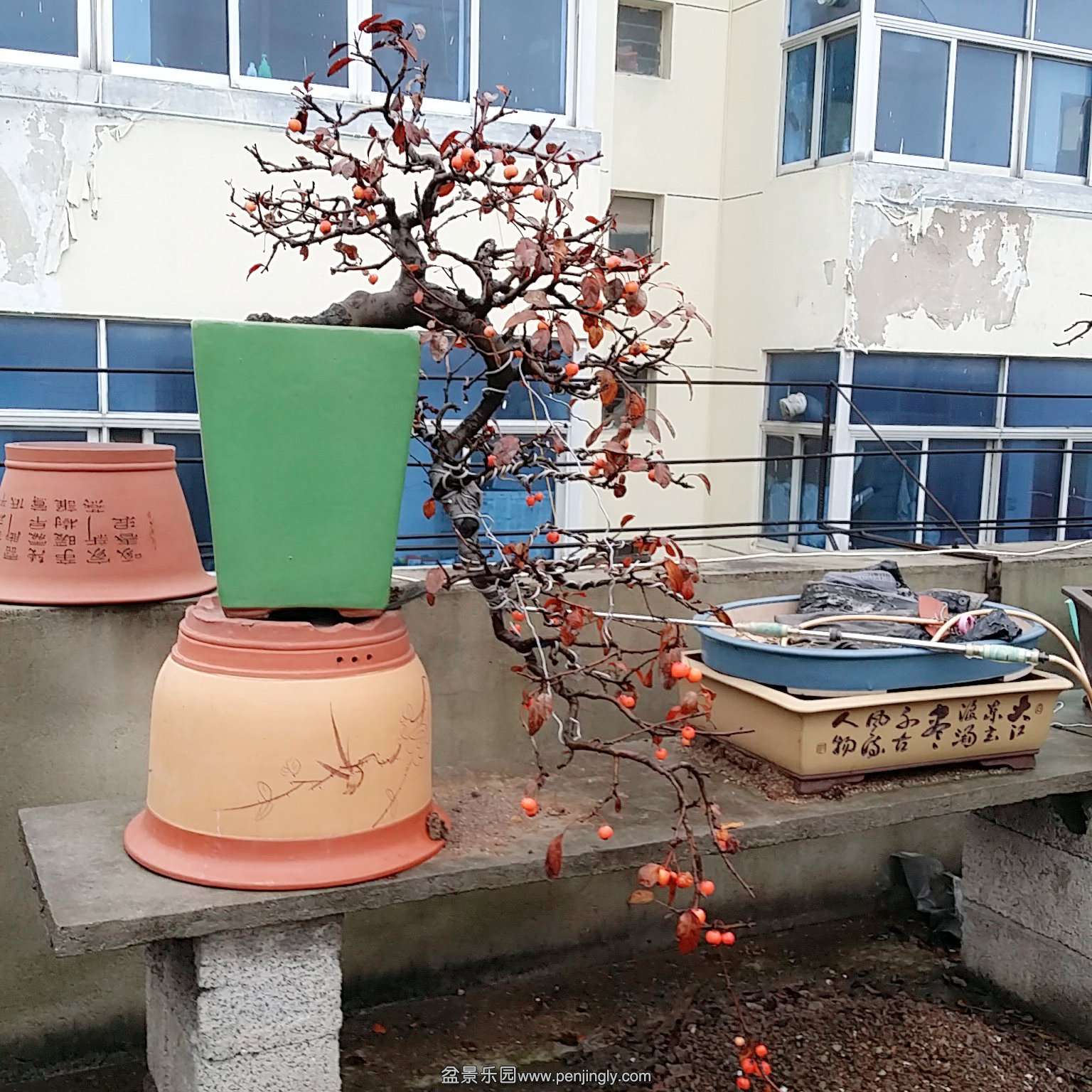 C360_2015-12-23-10-04-43-913.jpg