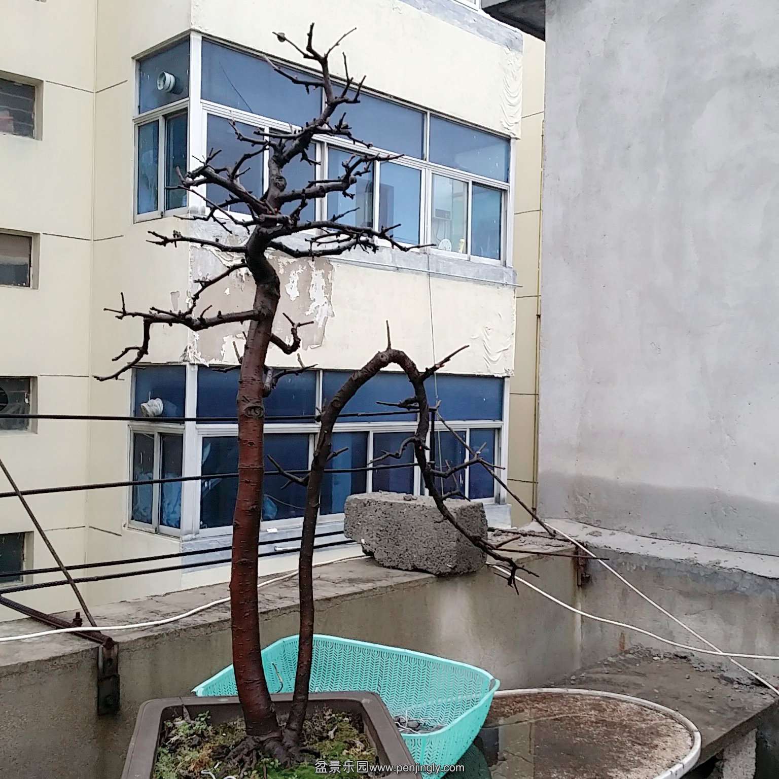 C360_2015-12-23-10-04-15-793.jpg