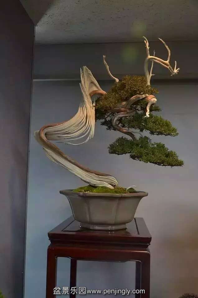 ɰ