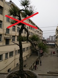 100158i4pvdtqpvdqzdpr9.jpg.thumb.jpg
