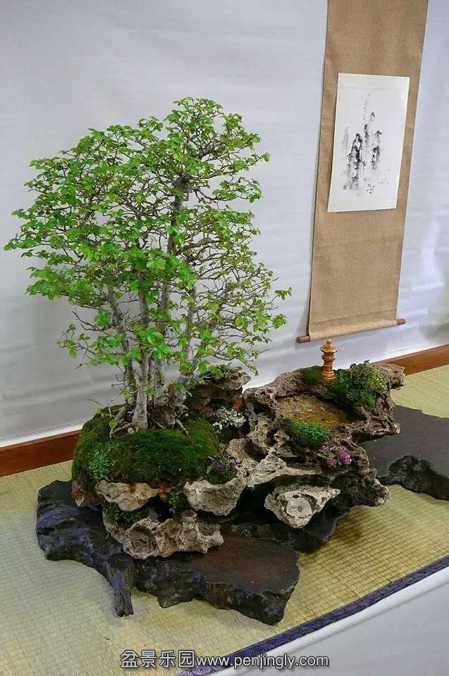 辰
