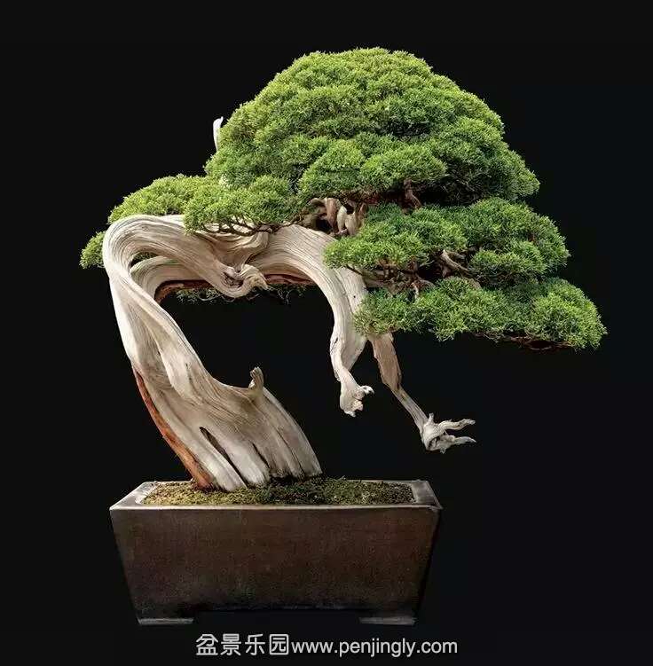 辰