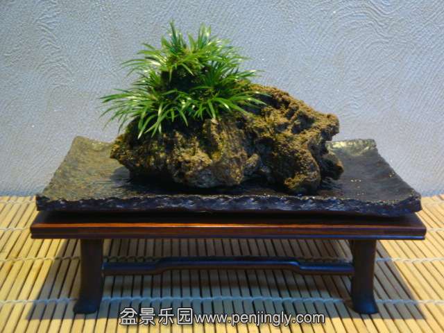 DSC02257.JPG