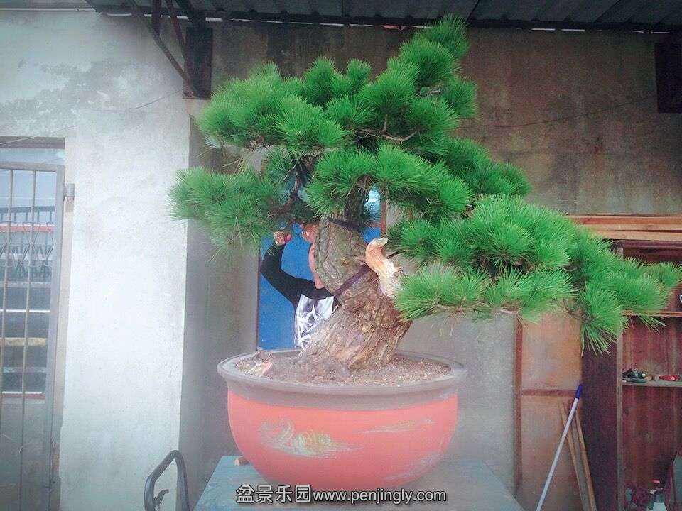 491.jpg