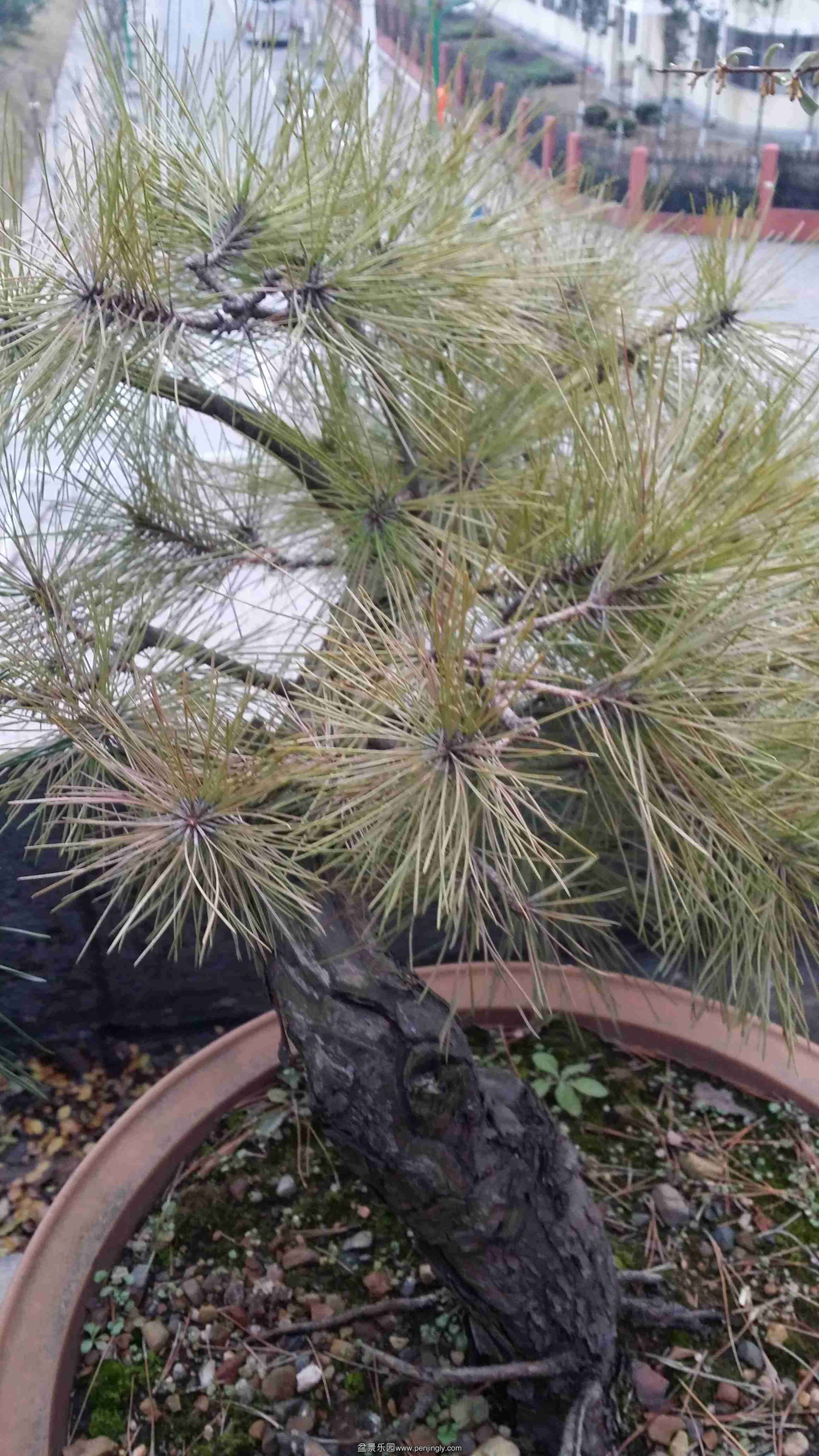 20151228_073425_.jpg