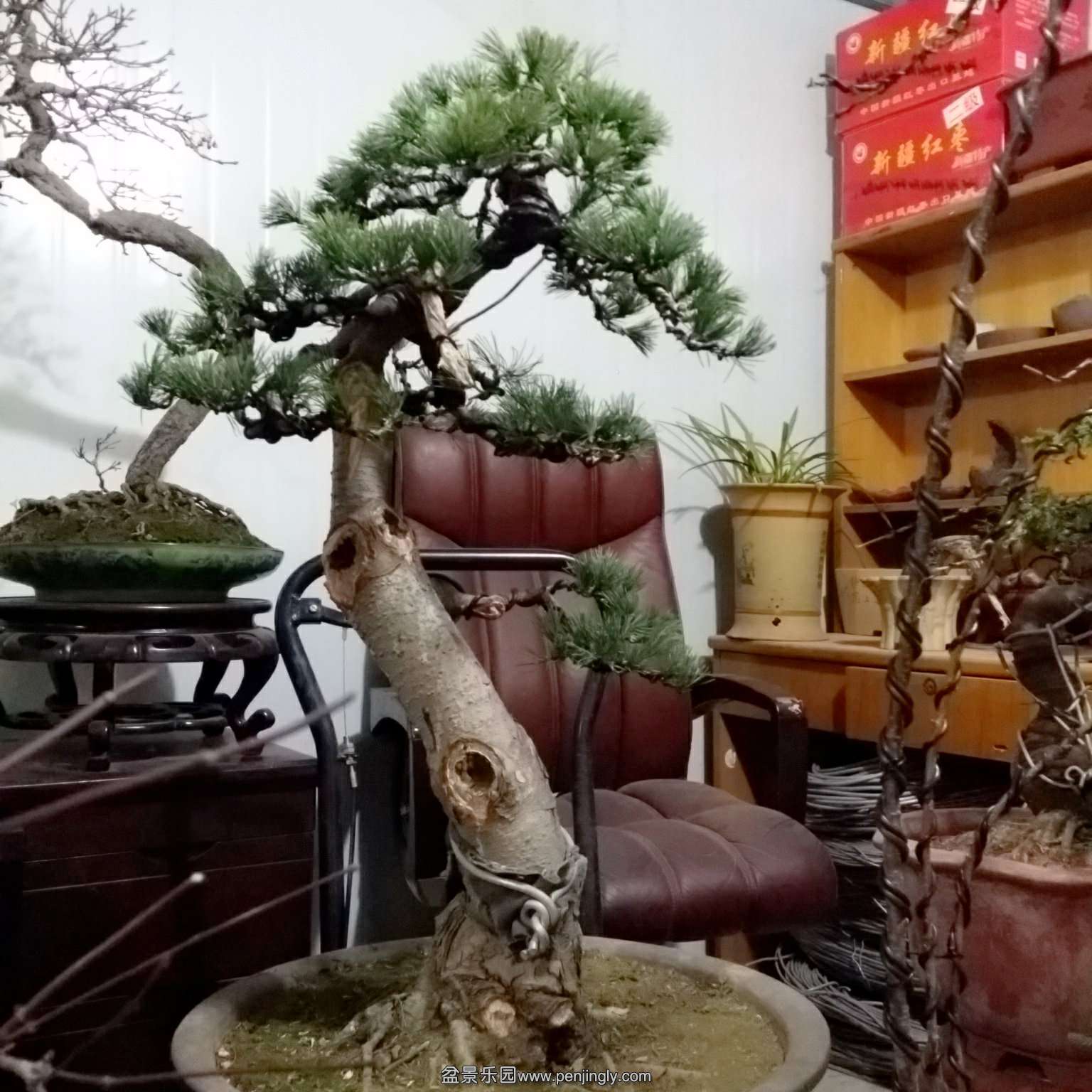  һ