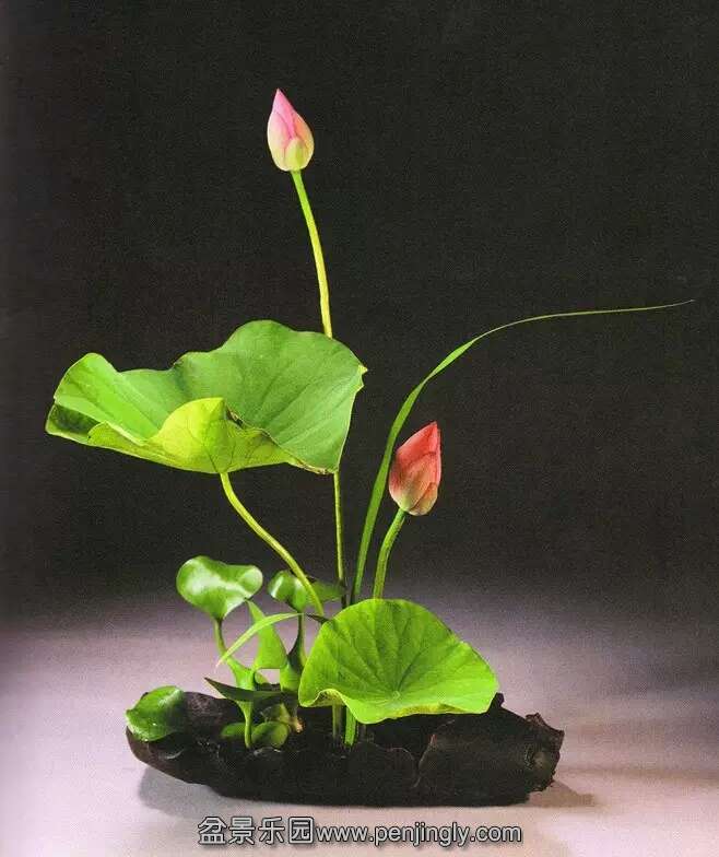 廨