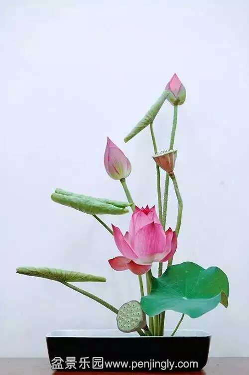 廨