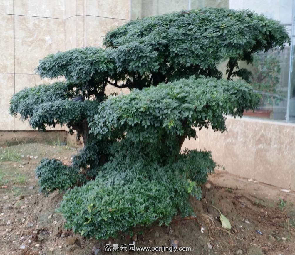 Խ