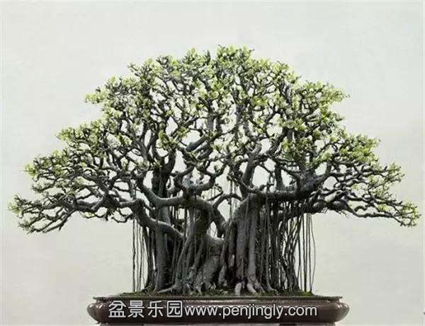 辰