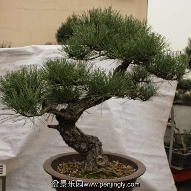 QQͼƬ20151229203821.jpg
