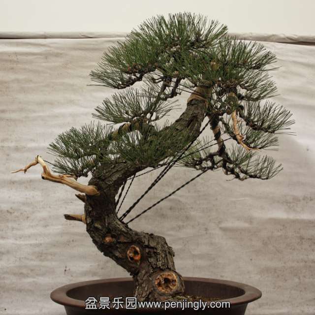 QQͼƬ20151229203840.jpg