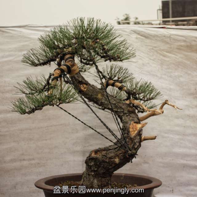 QQͼƬ20151229203736.jpg