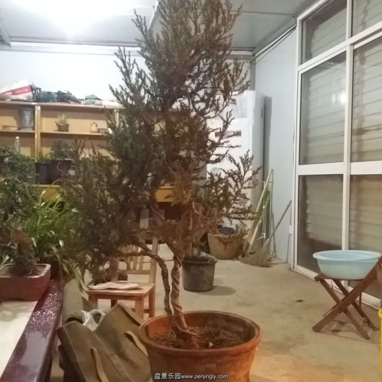 C360_2015-12-28-22-35-45-856_org.jpg