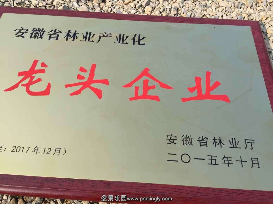 A2F75F476F9B378C09B2E1B195167B5F.png