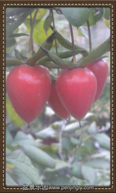 2015-10-17 20.53.18.jpg