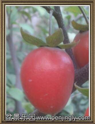 2015-10-17 20.58.42.jpg