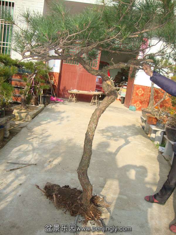 DSC04580_.jpg