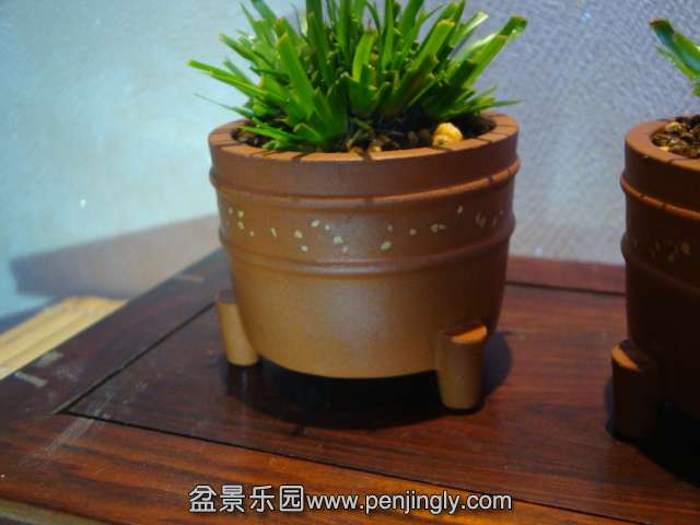 DSC02285.JPG
