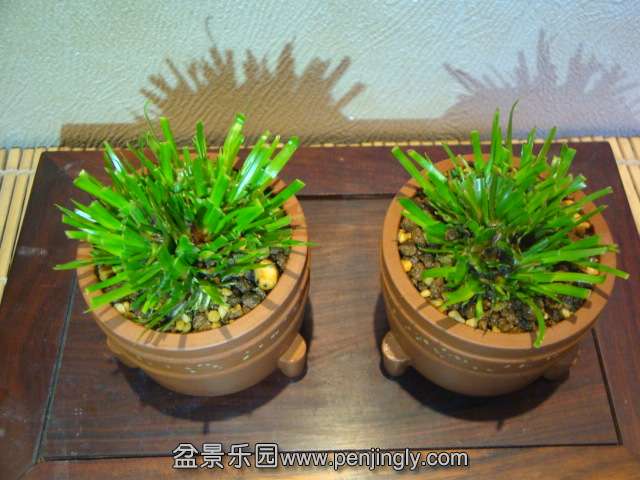 DSC02286.JPG