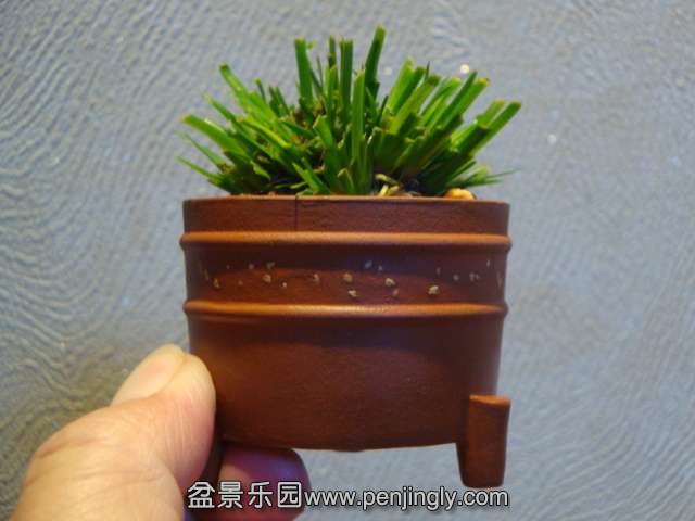 DSC02288.JPG