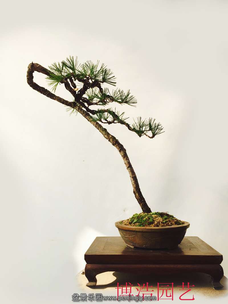 �Ա���03-1 ����.jpg