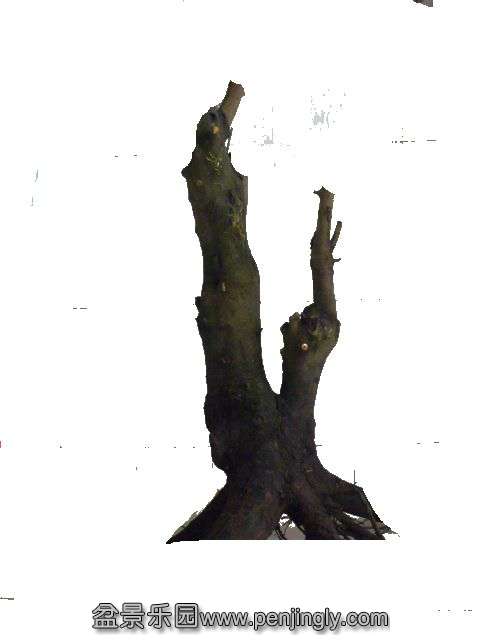 P1040796_.jpg