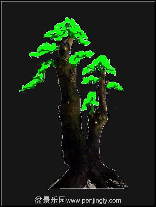 P1040796___.jpg