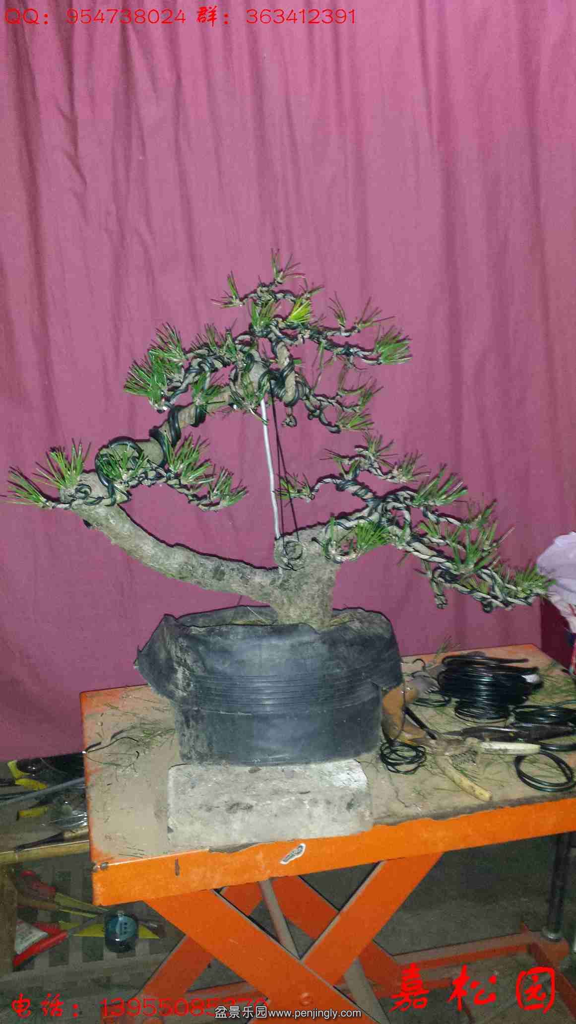 20160101_223238.jpg