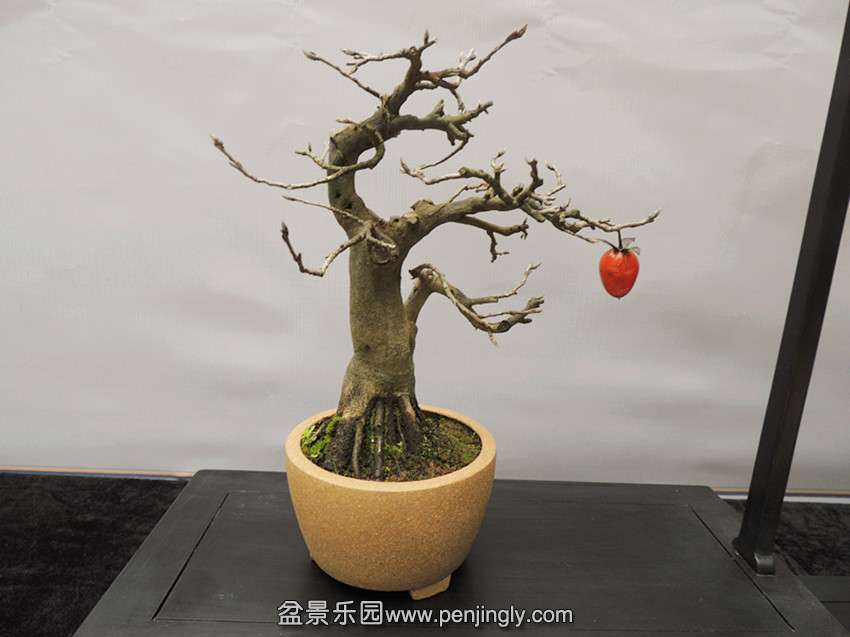 DSCN6841_.jpg