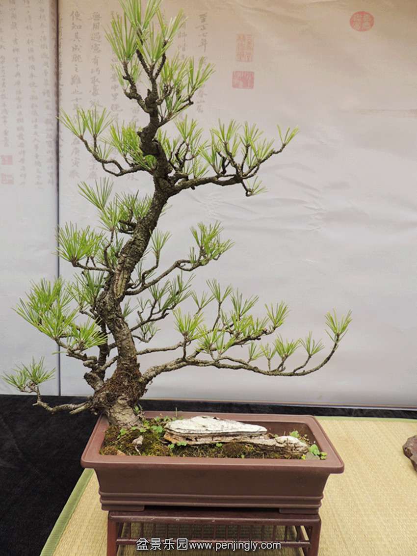 DSCN6859_.jpg