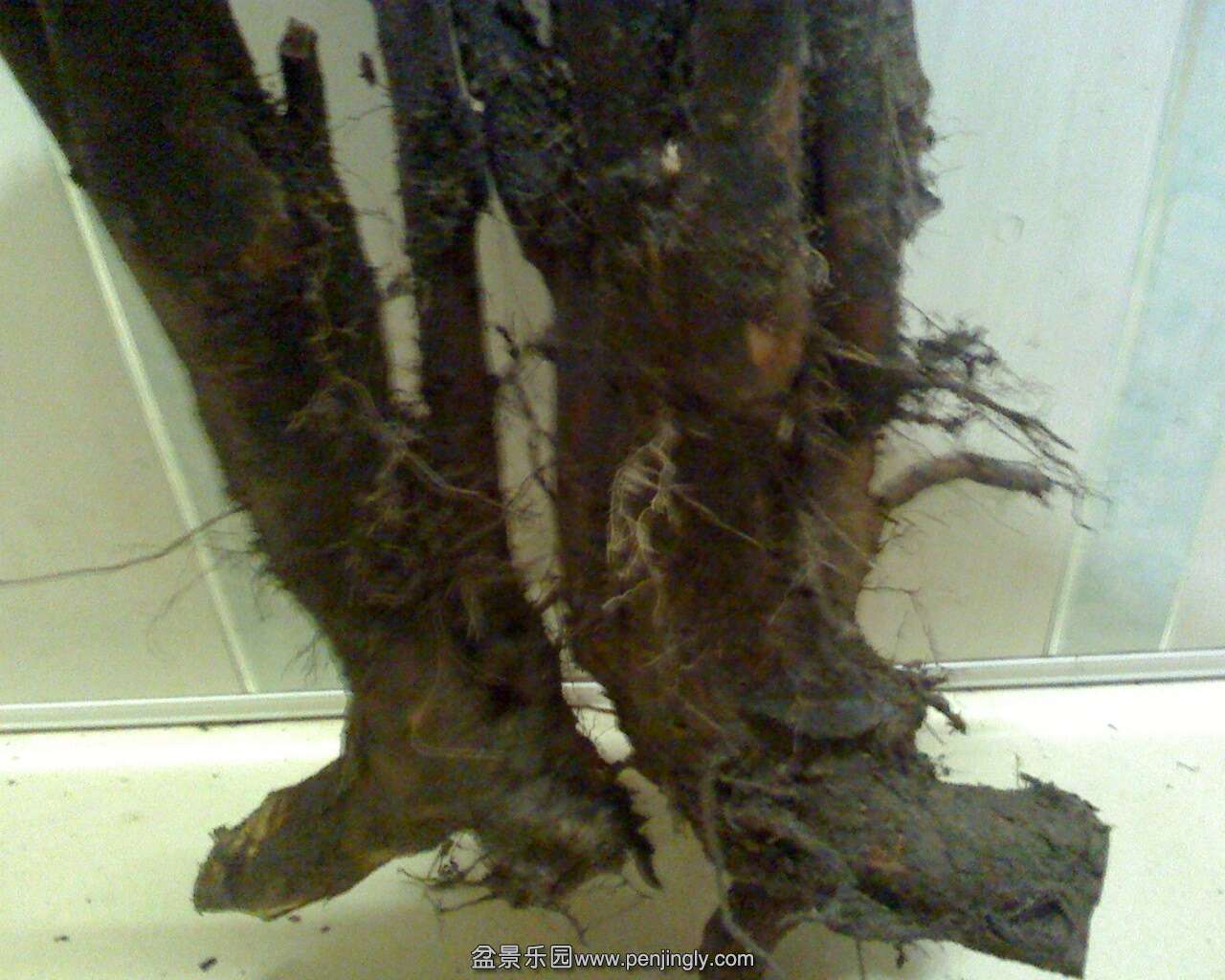 IMG1122-15ڷ3-4.jpg