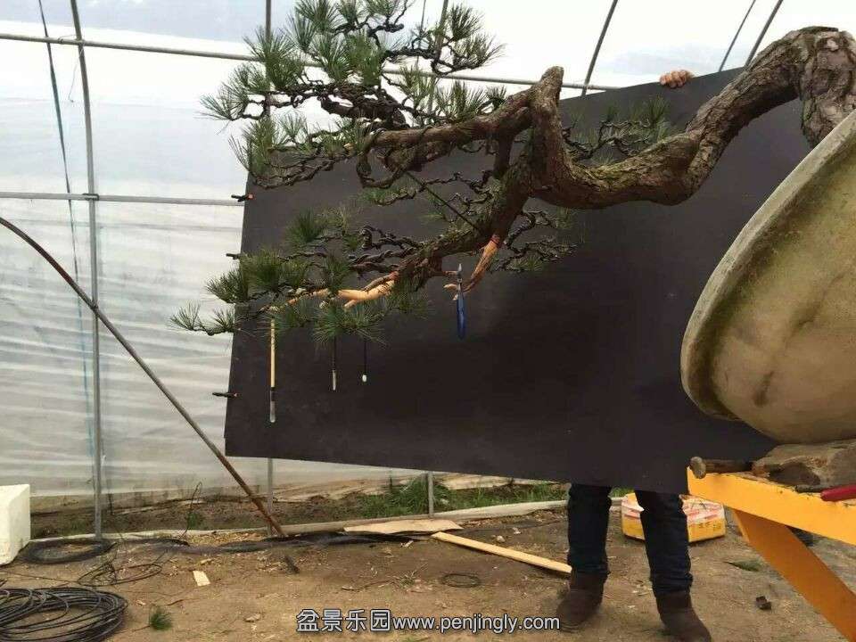 QQͼƬ20160107141441.jpg