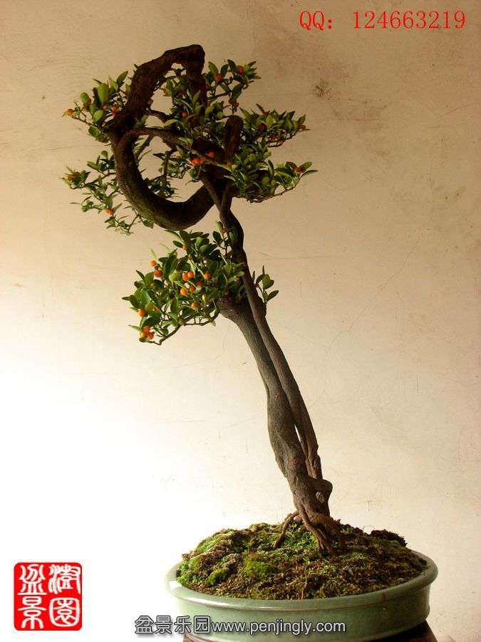 IMG_2190__.jpg