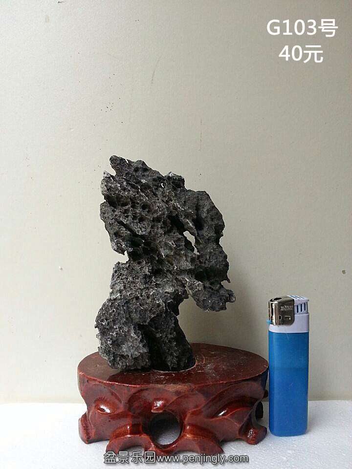g103.jpg