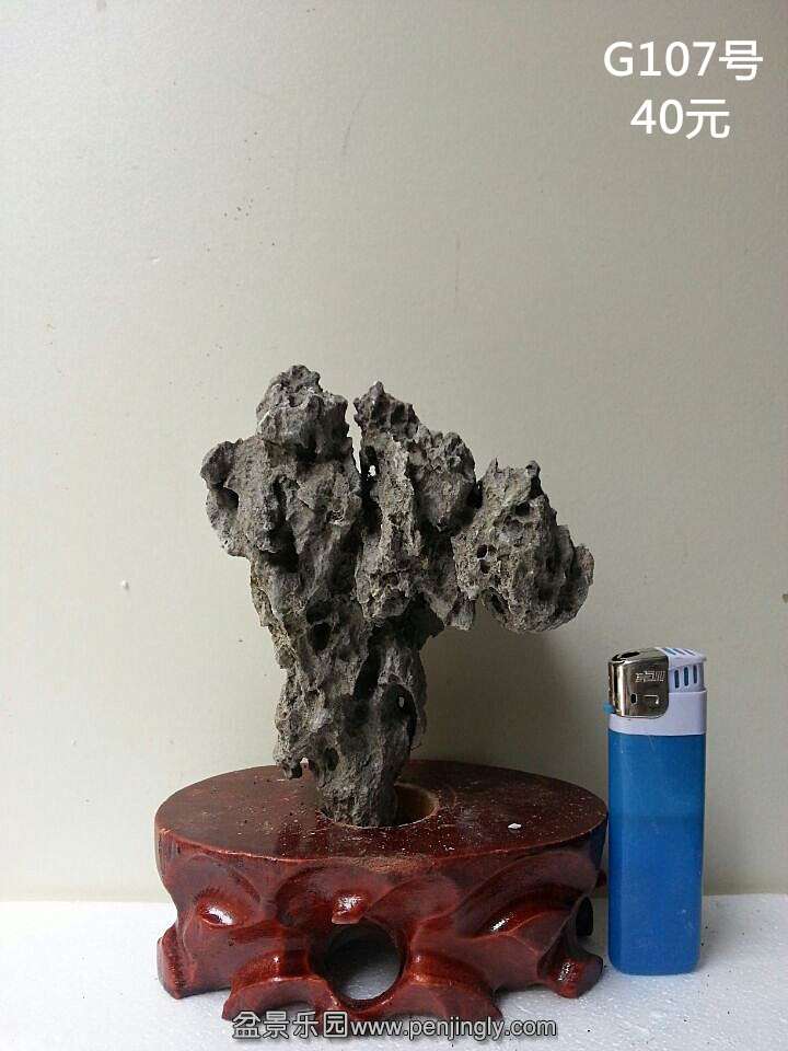 g107.jpg