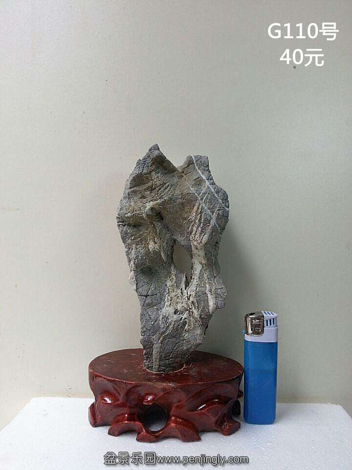 g110.jpg