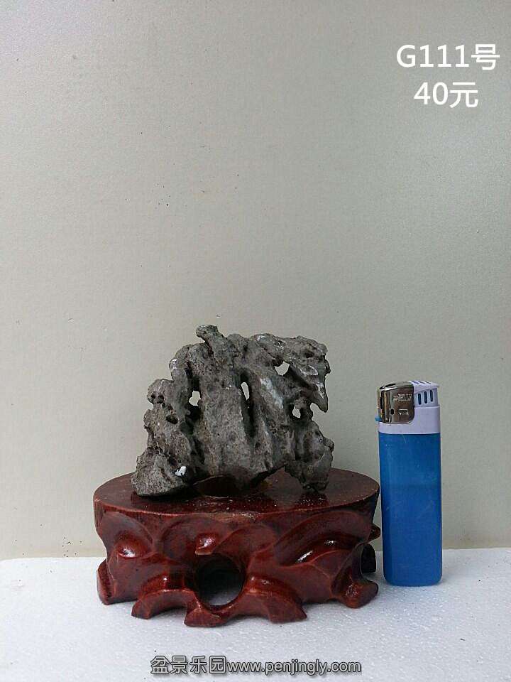 g111.jpg