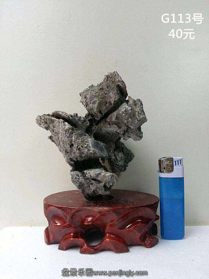 g113.jpg