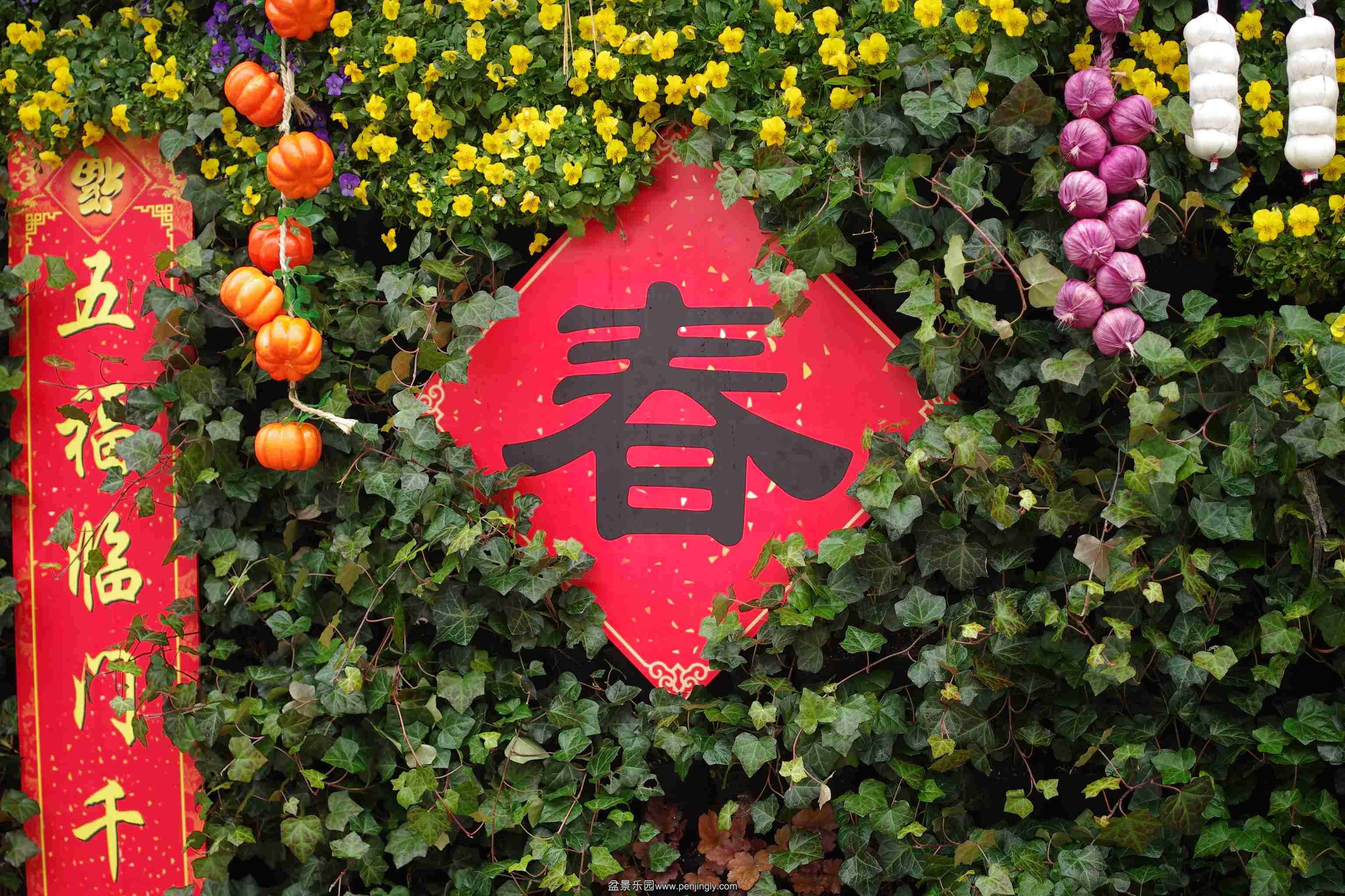 IMGP7449_conew1.jpg