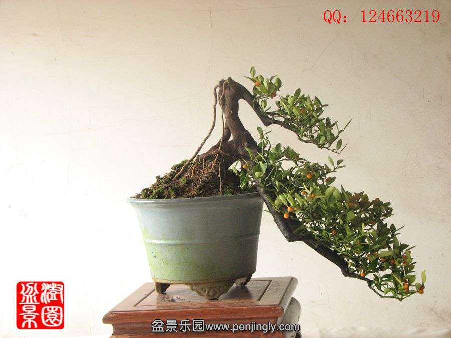 IMG_2217_.jpg