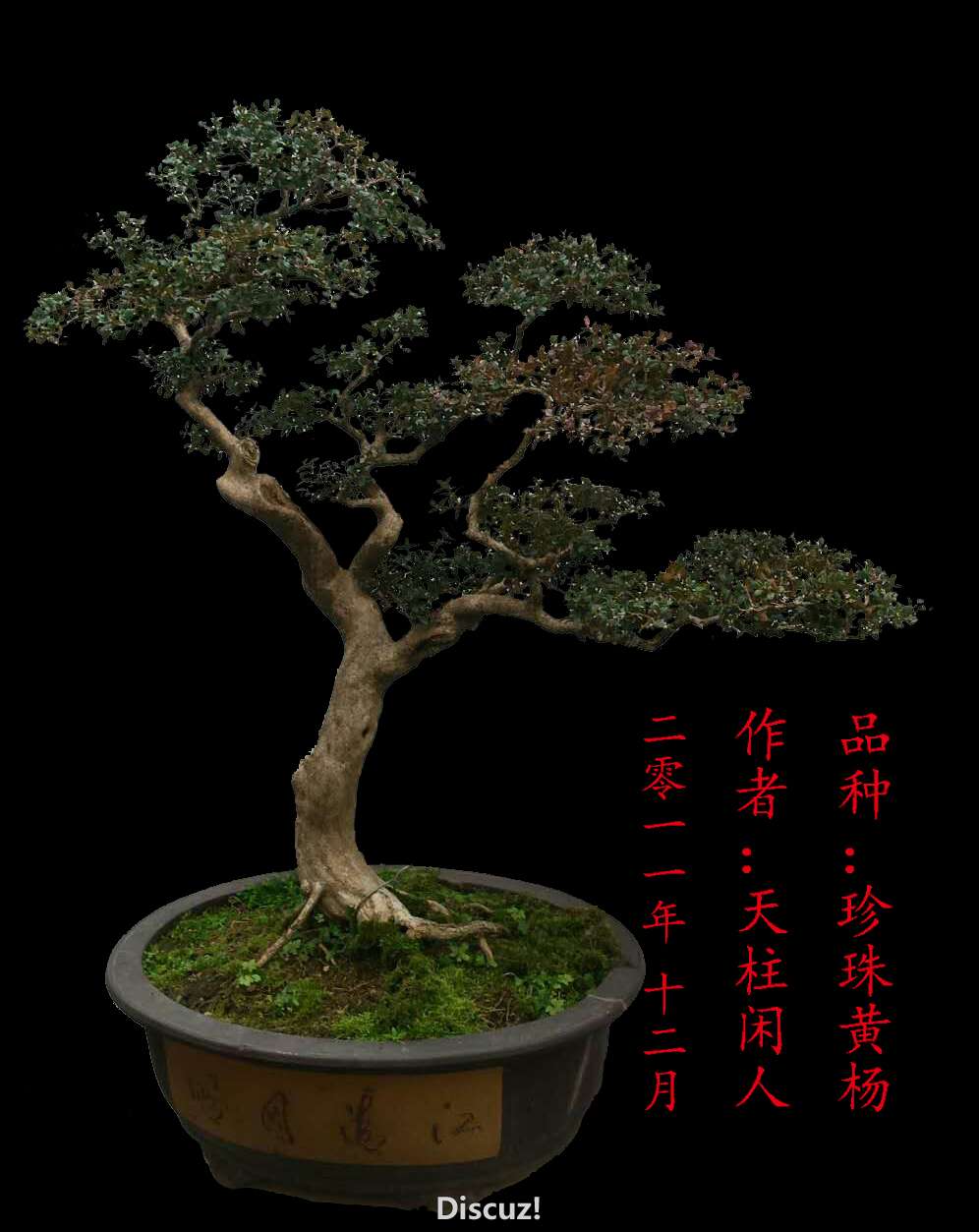 mmexport1449644340747 (4).jpg