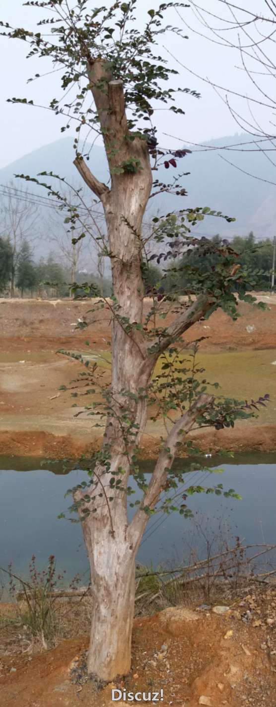ľ1.jpg