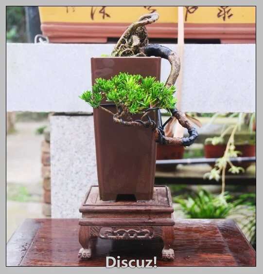 ԭͨȸ޺