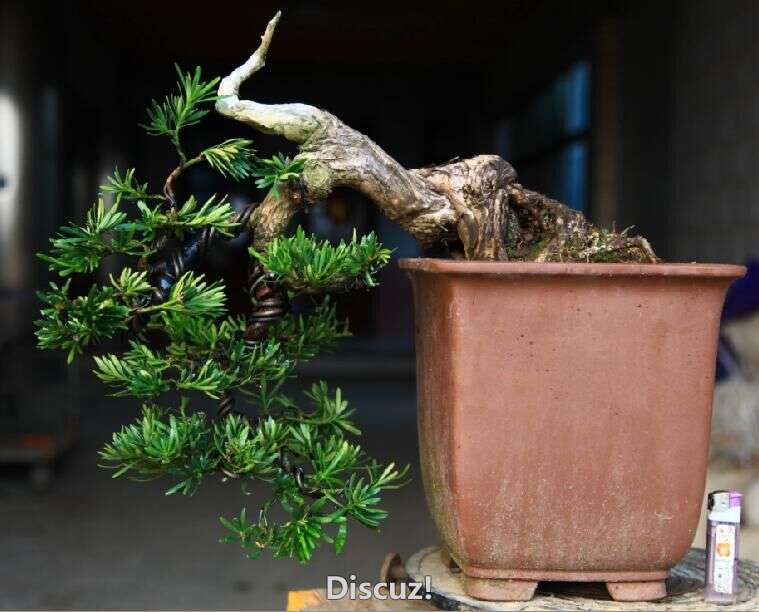 ԭͨȸ޺
