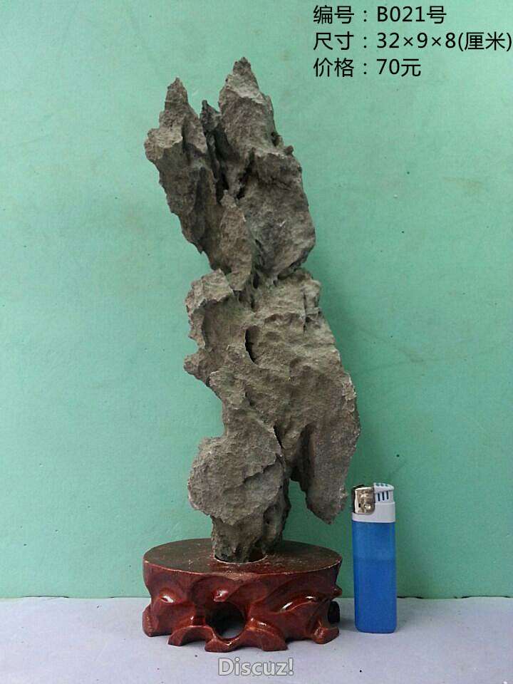 b021.jpg