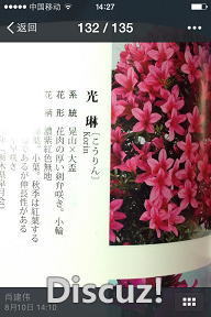 IMG_3919.PNG