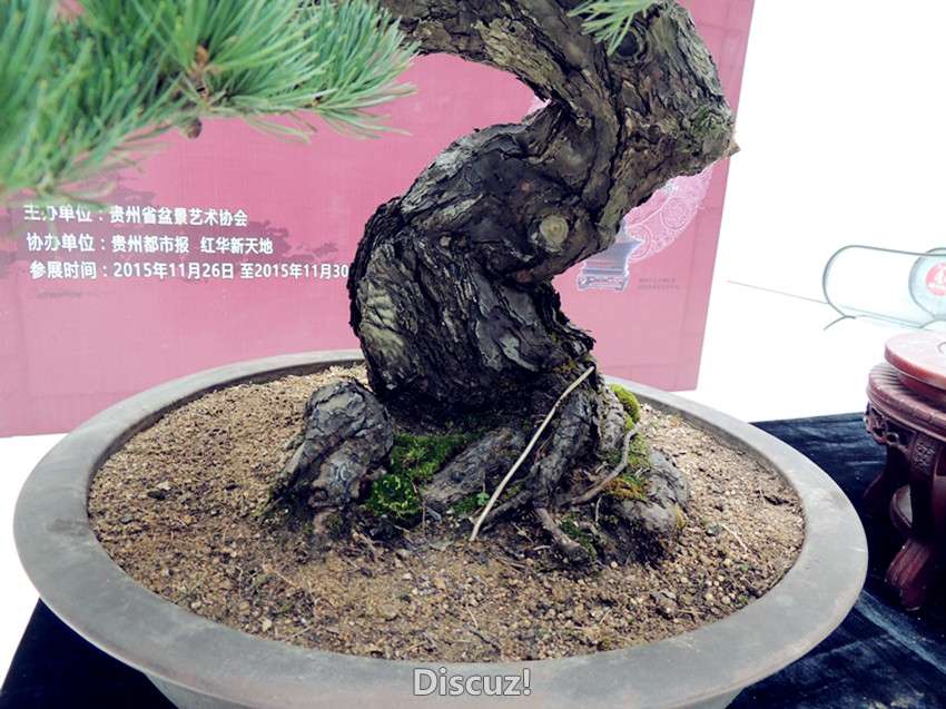 DSCN6870_.jpg