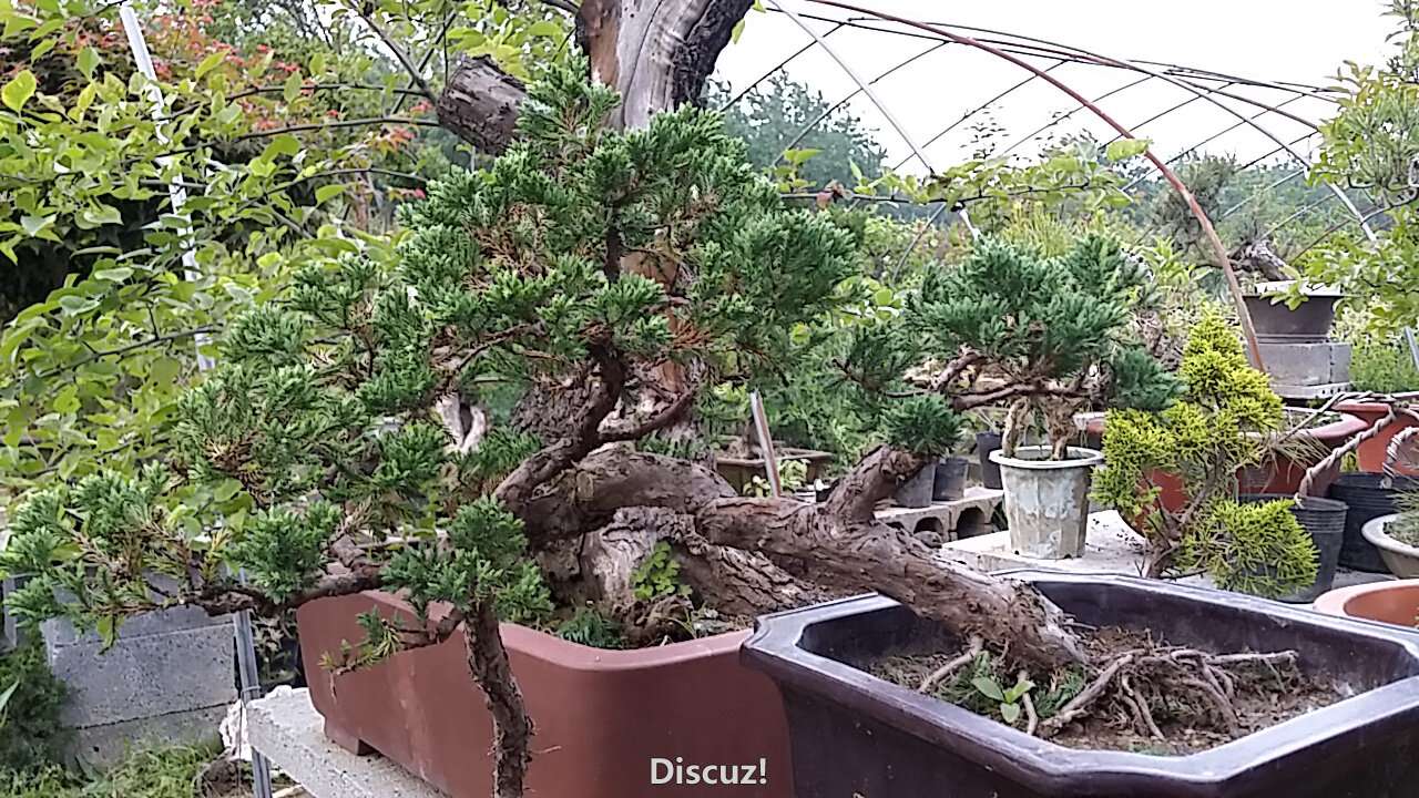 C360_2015-05-10-18-20-38-118.jpg